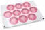 Communion envelope seals - mi primera comunión pink cross | PIT Packaging.ie | Bestbuyenvelopes