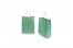 Paper carrier bags with twisted handles - green metallic, 180 x 80 x 220 mm, 90 gsm | PIT Packaging.ie | Bestbuyenvelopes