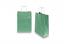 Paper carrier bags with twisted handles - green metallic, 220 x 100 x 310 mm, 90 gsm | PIT Packaging.ie | Bestbuyenvelopes