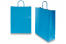 Paper carrier bags with twisted handles - blue, 320 x 120 x 410 mm, 100 gsm | PIT Packaging.ie | Bestbuyenvelopes