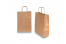 Paper carrier bags with twisted handles - bronze, 220 x 100 x 310 mm, 90 gsm | PIT Packaging.ie | Bestbuyenvelopes