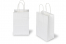 Paper carrier bags with twisted handles - white, 140 x 80 x 210 mm, 90 gsm | PIT Packaging.ie | Bestbuyenvelopes