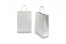 Paper carrier bags with twisted handles - silver, 220 x 100 x 310 mm, 90 gsm | PIT Packaging.ie | Bestbuyenvelopes