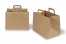Paper carrier bags with folded handles - brown, 317 x 218 x 245 mm | PIT Packaging.ie | Bestbuyenvelopes