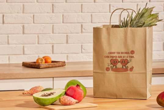 Paper carrier bags with twisted handles | PIT Packaging.ie | Bestbuyenvelopes