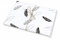 Tissue paper - as gift wrapping | PIT Packaging.ie | Bestbuyenvelopes