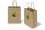 Paper carrier bags with twisted handles - printed example | PIT Packaging.ie | Bestbuyenvelopes