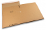 Crash lock box - brown, 315 x 290 x 215 mm - SPX19 | PIT Packaging.ie | Bestbuyenvelopes