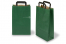 Paper carrier bags with folded handles - green, 220 x 105 x 360 mm | PIT Packaging.ie | Bestbuyenvelopes