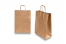 Paper carrier bags with twisted handles - bronze, 260 x 120 x 350 mm, 90 gsm | PIT Packaging.ie | Bestbuyenvelopes
