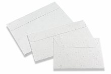 Seed paper envelopes