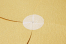 Transparant envelope seals - 26 mm with perforation | PIT Packaging.ie | Bestbuyenvelopes