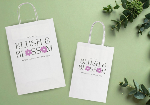 Paper carrier bags with twisted handles | PIT Packaging.ie | Bestbuyenvelopes
