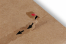 Paper mailing bags with return closure | PIT Packaging.ie | Bestbuyenvelopes