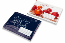 Christmas air-cushioned envelopes | PIT Packaging.ie | Bestbuyenvelopes