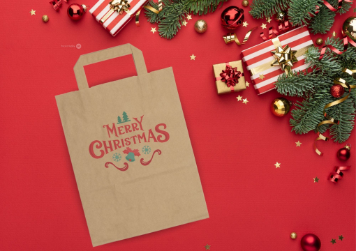  Paper carrier bags with folded handles | PIT Packaging.ie | Bestbuyenvelopes