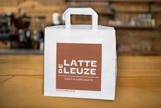  Paper carrier bags with folded handles | PIT Packaging.ie | Bestbuyenvelopes