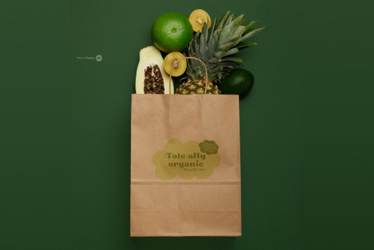 Paper carrier bags with twisted handles | PIT Packaging.ie | Bestbuyenvelopes