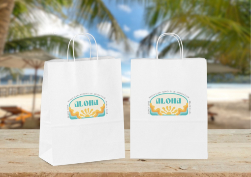 Paper carrier bags with twisted handles | PIT Packaging.ie | Bestbuyenvelopes