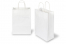 Paper carrier bags with twisted handles - white, 220 x 100 x 310 mm, 90 gsm | PIT Packaging.ie | Bestbuyenvelopes