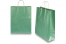 Paper carrier bags with twisted handles - green metallic, 320 x 120 x 410 mm, 100 gsm | PIT Packaging.ie | Bestbuyenvelopes