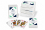 Custom playing cards international - without a bleed print + plastic box | PIT Packaging.ie | Bestbuyenvelopes