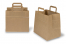 Paper carrier bags with folded handles - brown, 260 x 175 x 245 mm | PIT Packaging.ie | Bestbuyenvelopes