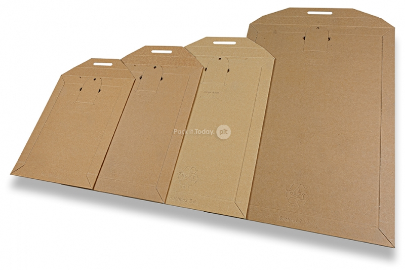 Reclosable cardboard envelopes